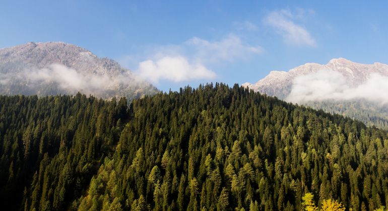 Glimpses_of_Kashmir-4.jpg