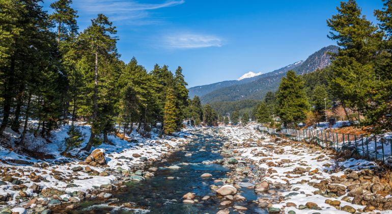 exotic_kashmir-4.jpg