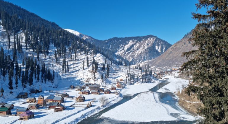 kashmir_delight-1.jpg