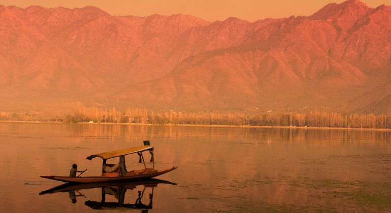 kashmir_delight-2.jpg