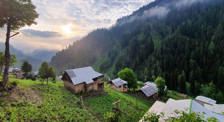 the_green_paradise-2.jpg