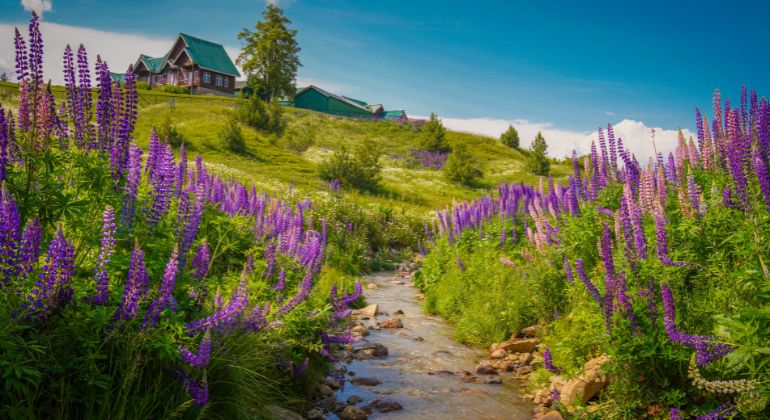 the_green_paradise-3.jpg