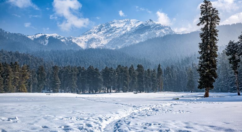 wonders_of_kashmir-3.jpg