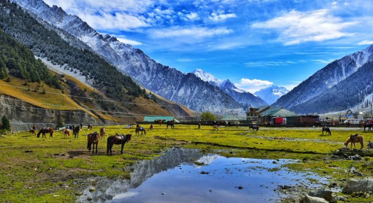 wonders_of_kashmir-4.jpg