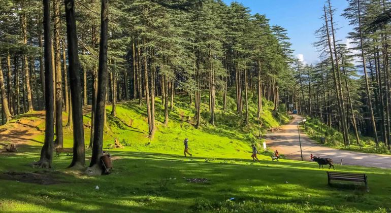 patnitop_1