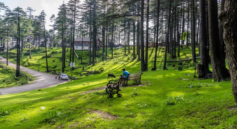 patnitop_2