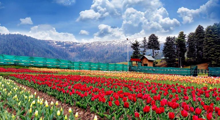 patnitop_3