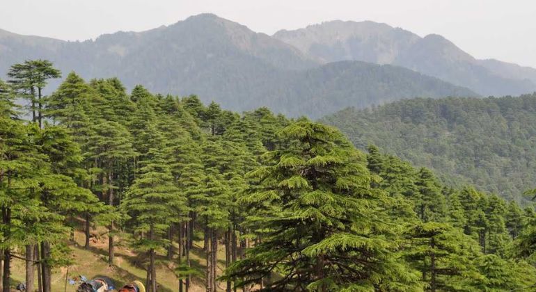 patnitop_4