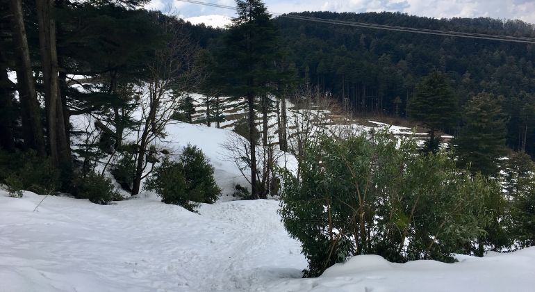 patnitop_5