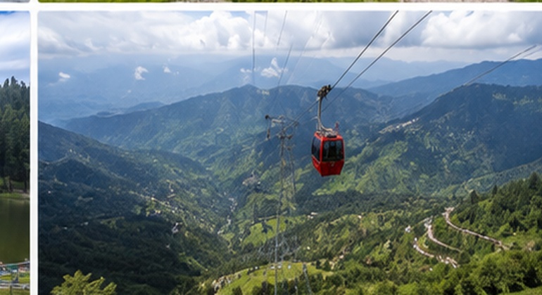 patnitop_6