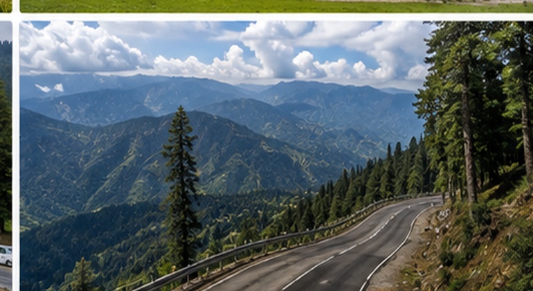 patnitop_8