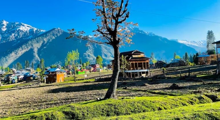 shalimar_garden_3