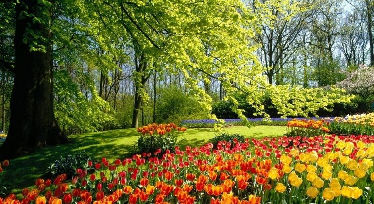 shalimar_garden