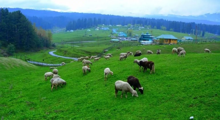 yusmarg_3