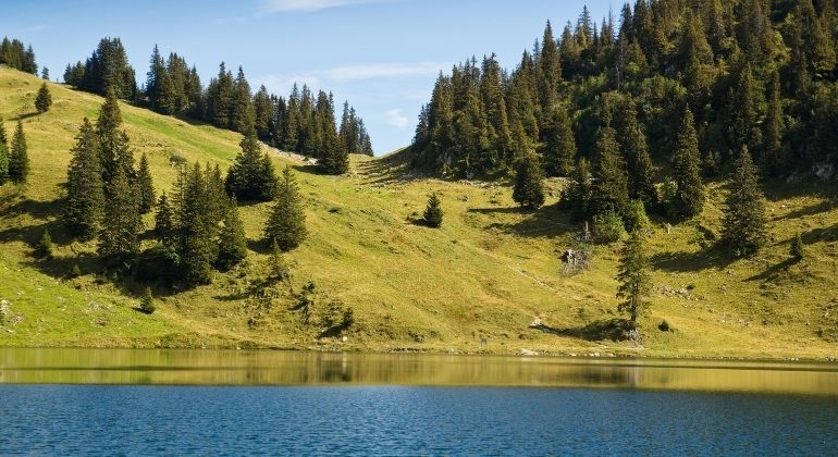 alpineLake