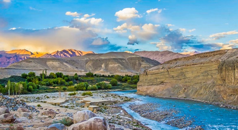 leh3