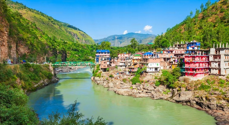 leh1