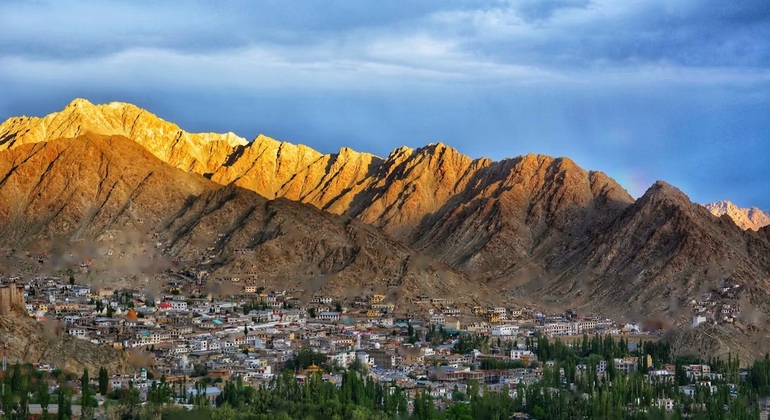 leh1