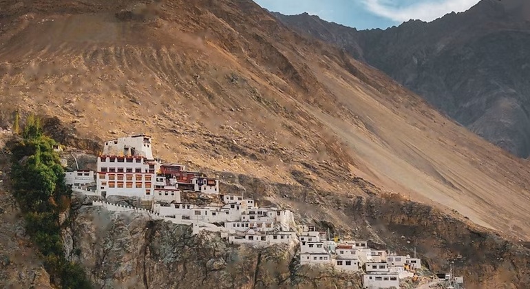 leh1